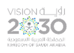 saudi arabia vision 2030 image